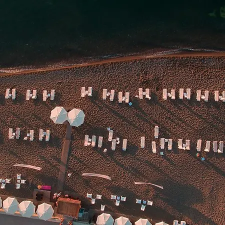 Turkuaz Akçakoca